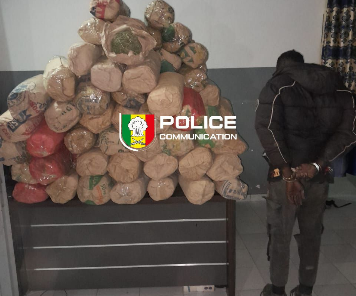 Sédhiou : un trafiquant arrêté, son complice en fuite après une saisie de 114 kg à Bounkiling
