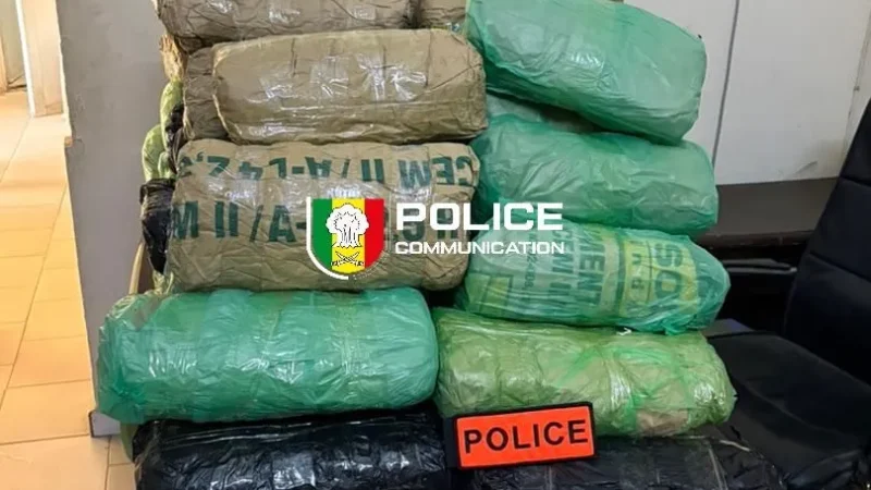 Karang : 63 kg de chanvre indien saisis dans une embuscade en zone frontalière