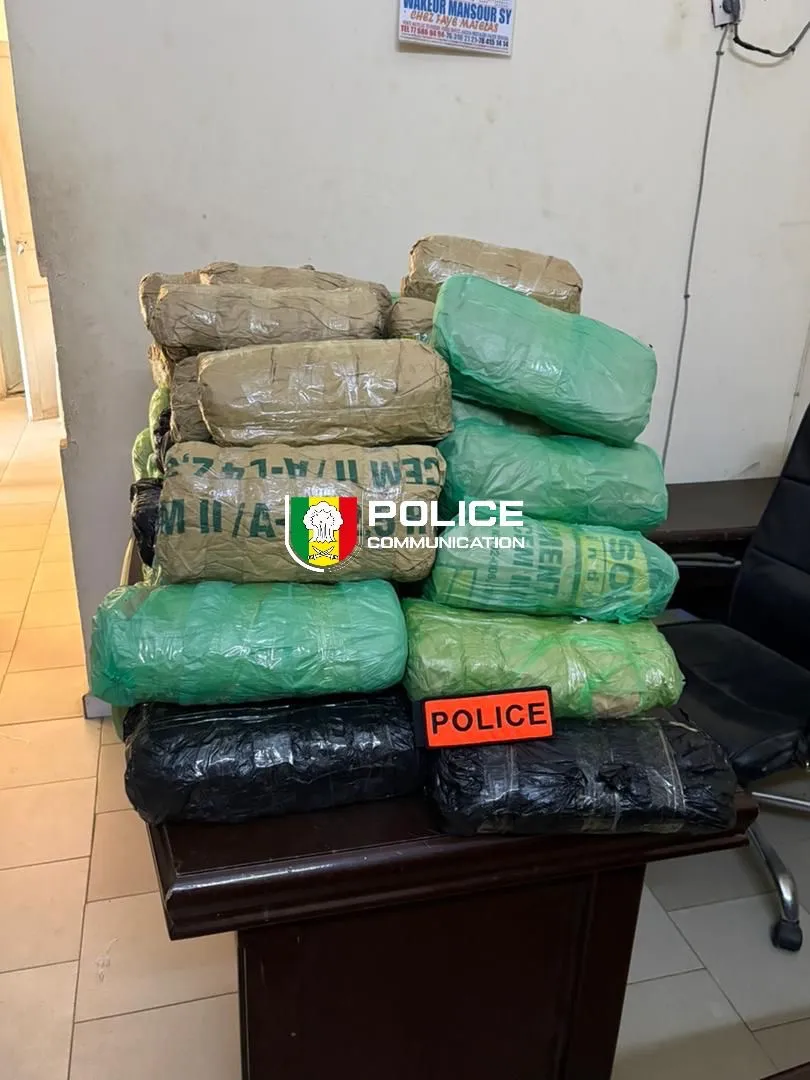Karang : 63 kg de chanvre indien saisis dans une embuscade en zone frontalière