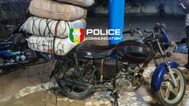 Trafic de drogue : La police intercepte 64 kg de chanvre indien à Sédhiou
