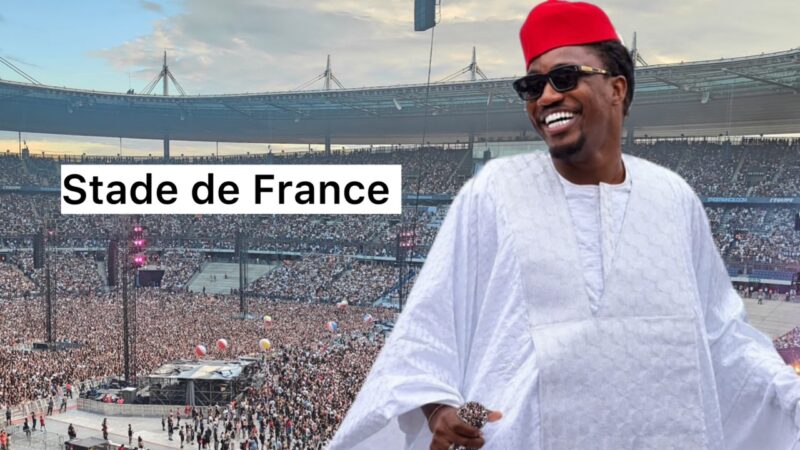 (Vidéo)- Wally Seck vise le Stade de France pour un grand concert