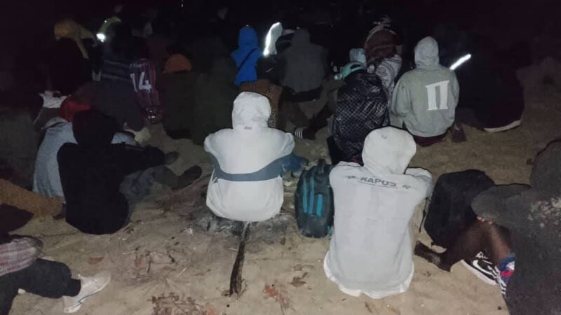 Gambie : 61 Sénégalais interceptés dans une tentative d’émigration irrégulière