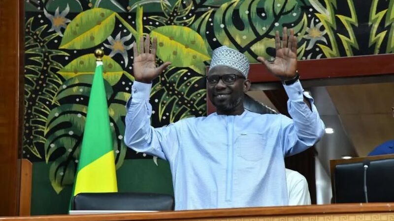 Assemblée nationale : Ismaïla Diallo démissionne de son poste de premier vice-président