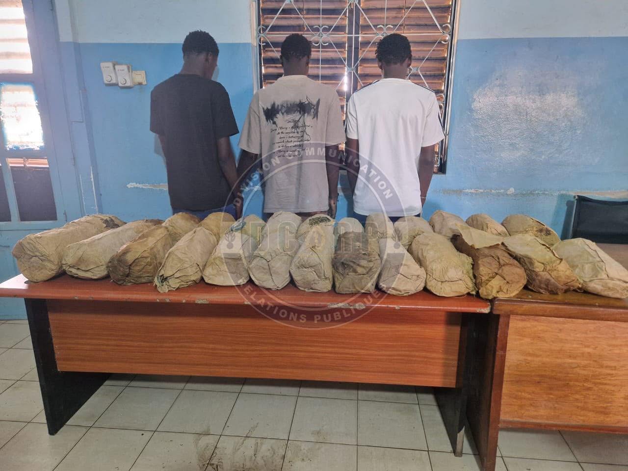 Lutte contre le trafic de drogue : 26 kg de chanvre indien saisis à Petit Mbao, trois suspects arrêtés