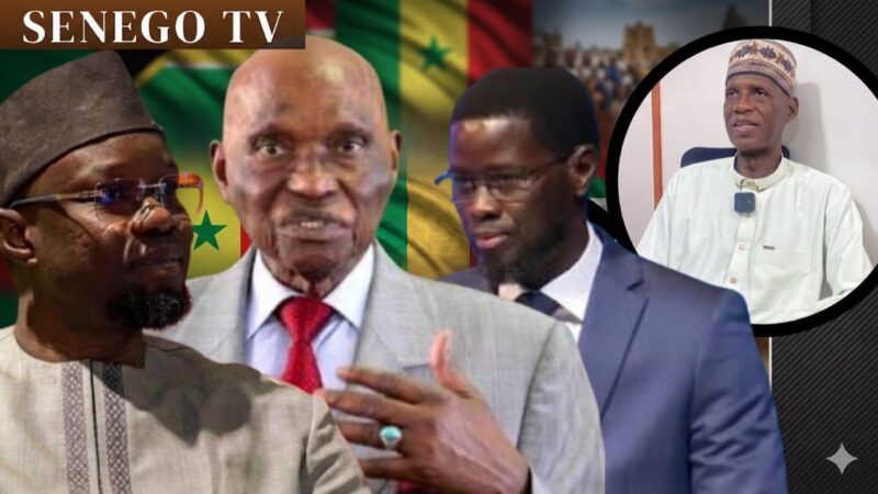 Amadou Lamine Faye : « Diomaye ignore le panafricanisme et flatte Wade pour viser Sonko » (Senego TV)