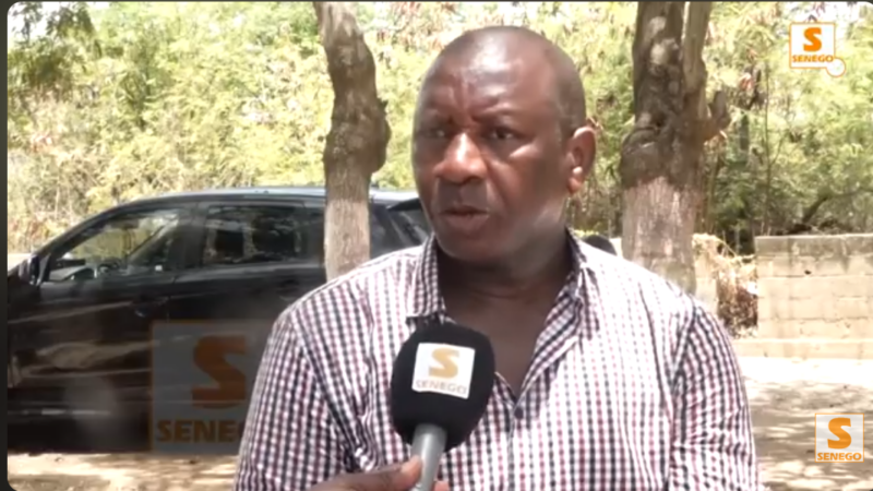 « Diomaye Président aurait dû mourir de sa belle mort après les élections » : Bacary D. Mané (Senego Tv)