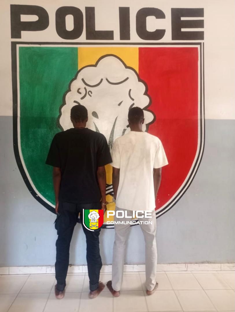 Kaolack : Démantèlement d’un réseau de voleurs de 