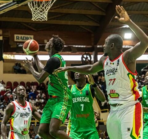 Basket – Match amical : le Sénégal battu par la Guinée (56-65) à quelques jours des éliminatoires du Mondial