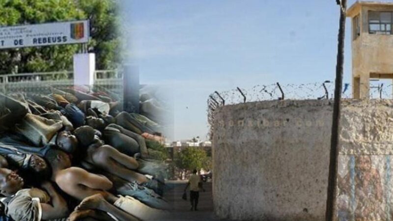 250 000 FCFA pour une supposée grâce: Les dessous d’une affaire qui secoue la prison de Diourbel