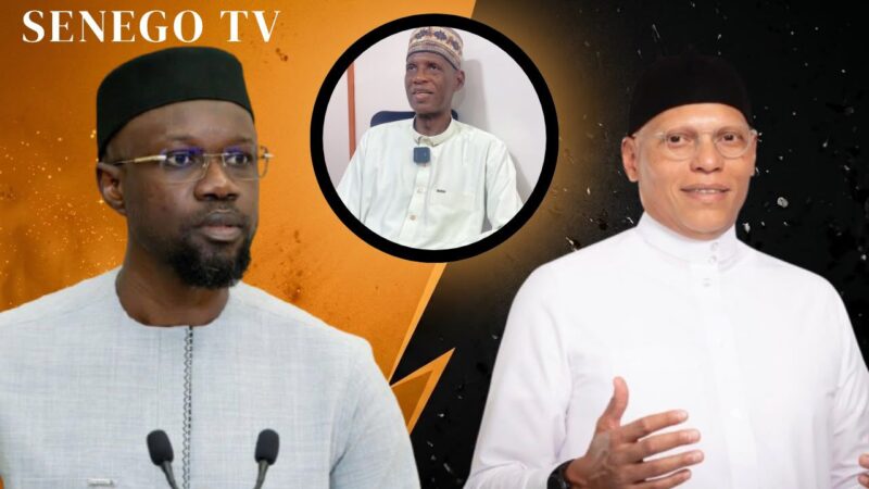 « Le PDS doit s’allier au PASTEF pour espérer gagner quelque chose », Amadou L. Faye (Senego TV)