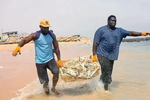 Tabaski 2026 : à Yoff, des centaines de bénévoles nettoient les plages jonchées de déchets