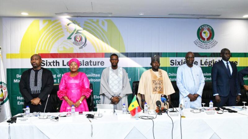Électrification rurale : le Parlement de la CEDEAO adopte des recommandations après une visite de terrain au Sénégal