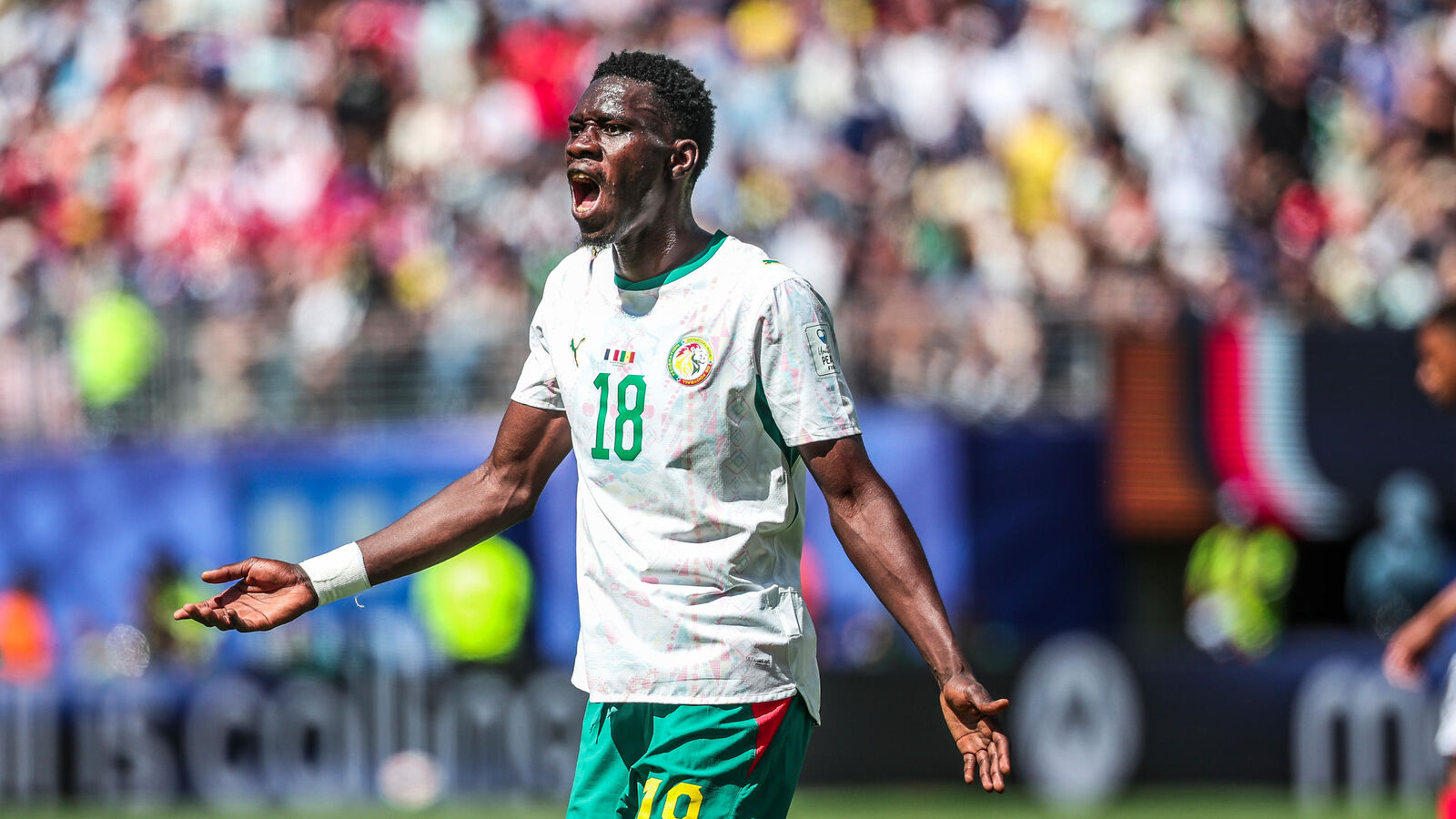 Sénégal : camp de base austère, primes impayées et sélectionneur sans contrat, le fiasco qui mine les Lions