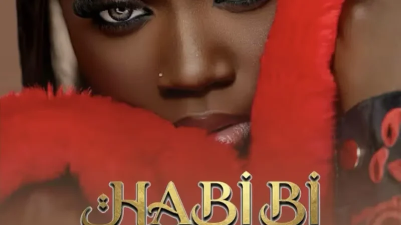 Ndakhté Lo dévoile son nouveau single « Habibi » aux sonorités modernes