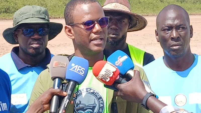 Joal, modèle de conservation : l’Aire marine protégée déjà reboisée à 80 %