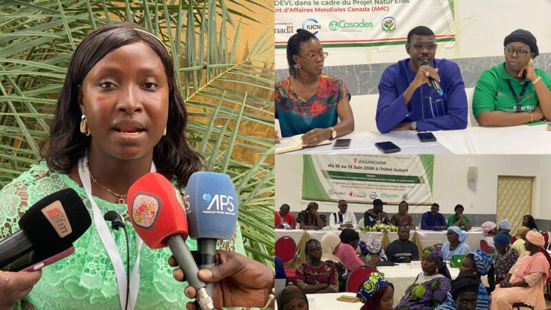 Casamance : Natur’Elles met en relation 20 groupements féminins avec les marchés et la finance à Ziguinchor