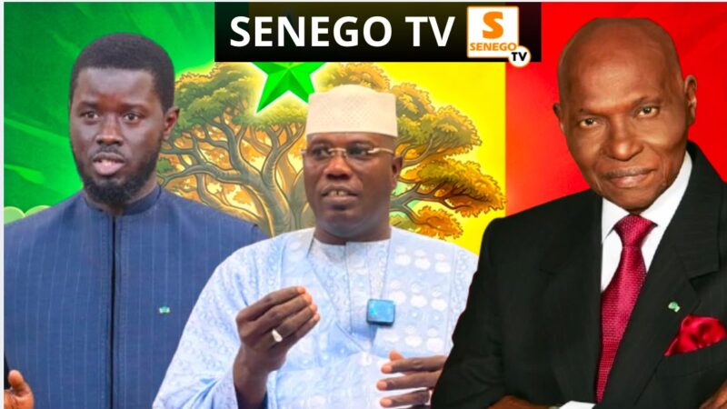 100 ans Wade – « Pas de garouwalé » : Cheikh A. Mbacké Bara Doli sur le discours de Diomaye (Senego TV)