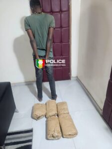 Thiès : la Brigade de recherches déjoue un convoyage de drogue vers Thionakh, un suspect arrêté avec 5 kg de chanvre indien