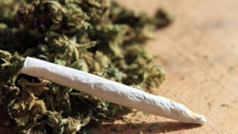Thiès : Deux trafiquants de yamba arrêtés après une opération policière dans un restaurant