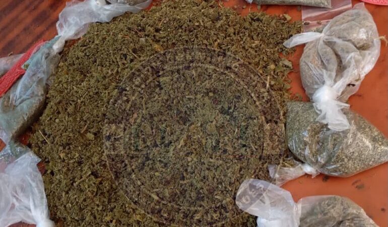 Trafic de drogue : La gendarmerie démantèle un réseau présumé de Kush à Diamniadio et saisit 4 kg de chanvre indien à Hann