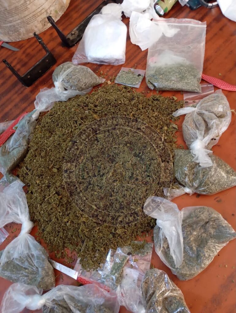 Trafic de drogue : La gendarmerie démantèle un réseau présumé de Kush à Diamniadio et saisit 4 kg de chanvre indien à Hann