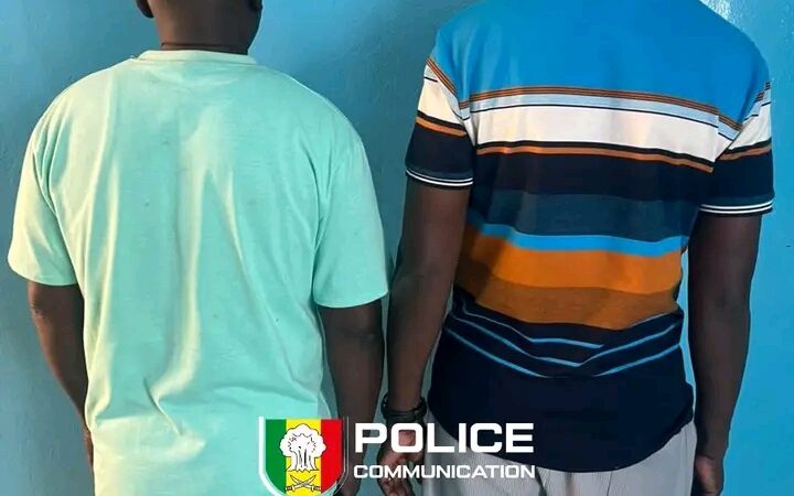 Viol, vol et armes blanches : un dangereux réseau démantelé à Thiès