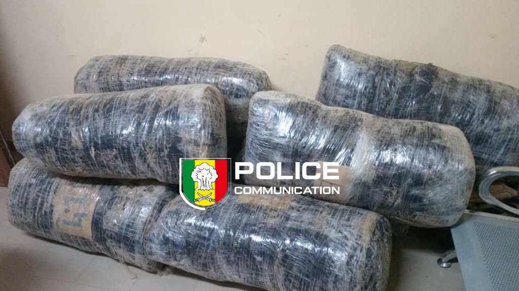 Mbour : 8 colis de Yamba, course-poursuite nocturne, 2 arrestations  et 3 véhicules saisis