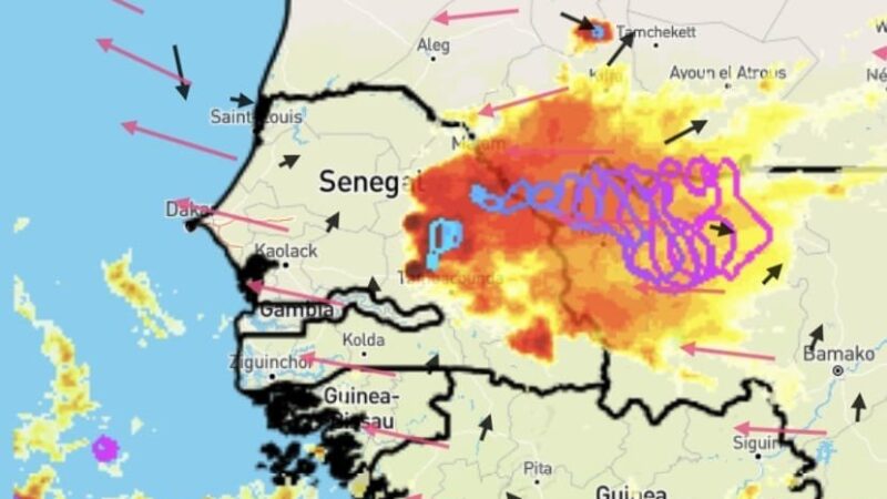 Alerte météo : orages et vents forts attendus dans 9 localités du Sénégal