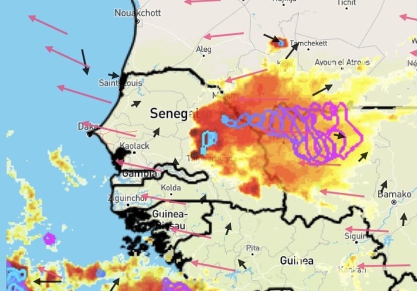 Alerte météo : orages et vents forts attendus dans 9 localités du Sénégal