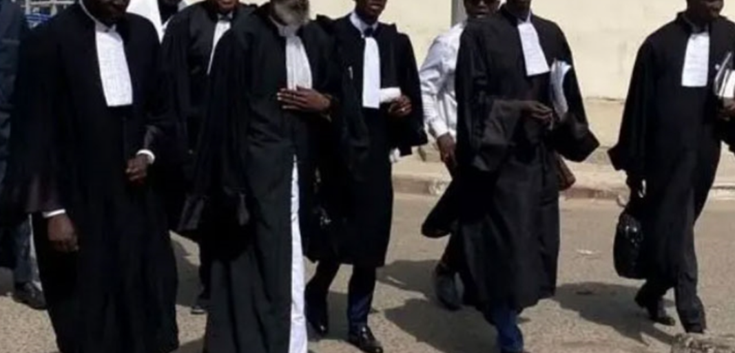 Avocats de la diaspora discriminés : HSF appelle Diomaye Faye à intervenir d’urgence