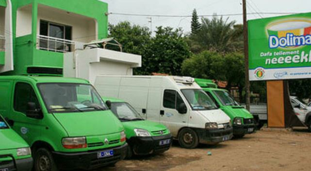 Dolima : un responsable des approvisionnements condamné…