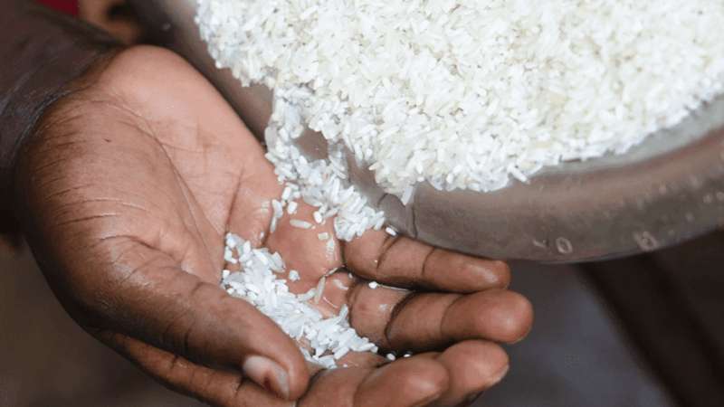 Aflatoxines dans le riz : Le ministère de l’Industrie rassure sur la qualité du riz local