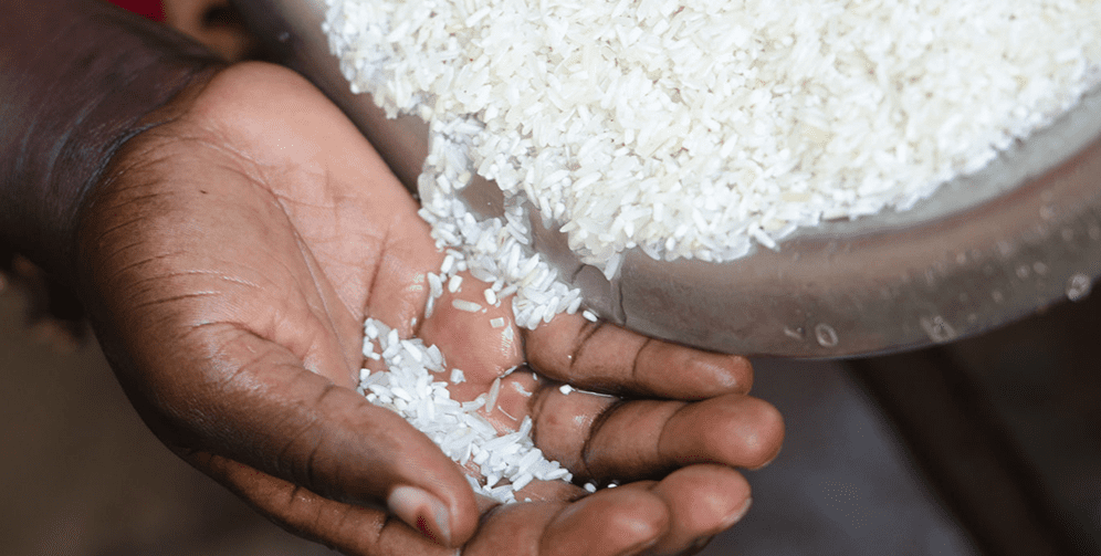 Aflatoxines dans le riz : Le ministère de l’Industrie rassure sur la qualité du riz local