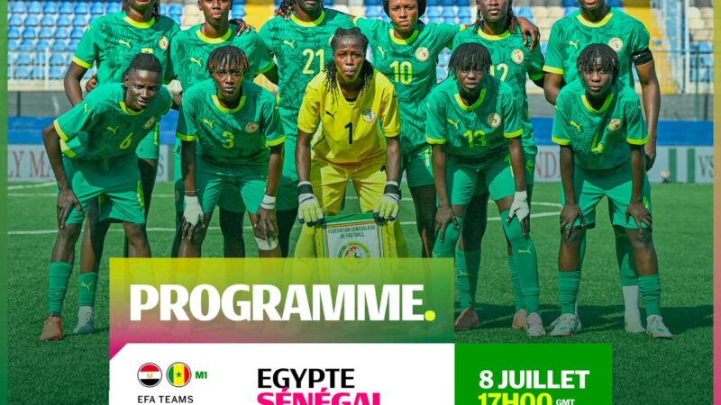 Liste des Lionnes pour les matchs amicaux contre l&rsquo;Égypte en juillet 2026