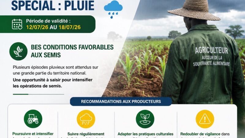 Semis : fenêtre pluviométrique favorable du 12 au 18 juillet 2026