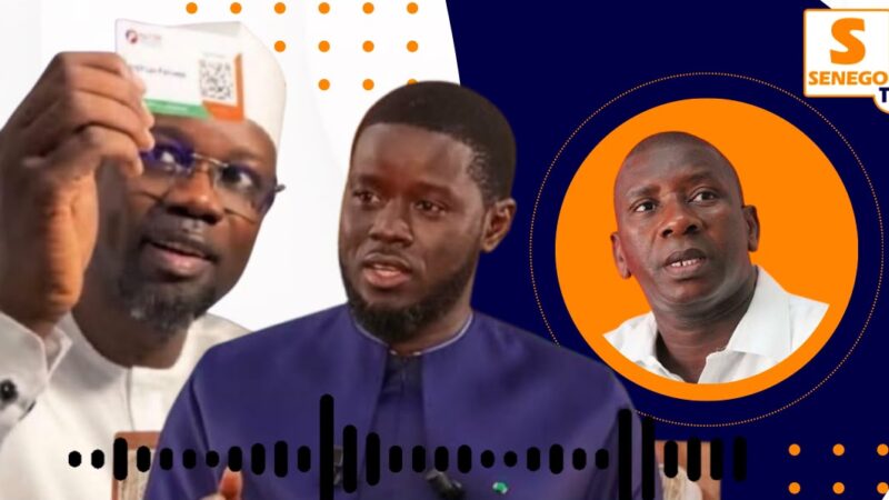 Parti de Diomaye : Bakary Domingo Mané prévient, « le choc avec Sonko est une continuité »