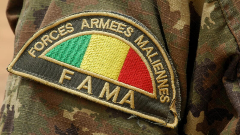 Mali : le groupe jihadiste Jnim exécute 18 prisonniers, crime de guerre