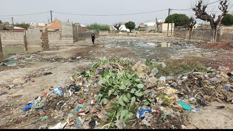 Diourbel : les habitants de Cheikh Anta Mbacke nettoient les canaux pour prévenir les inondations