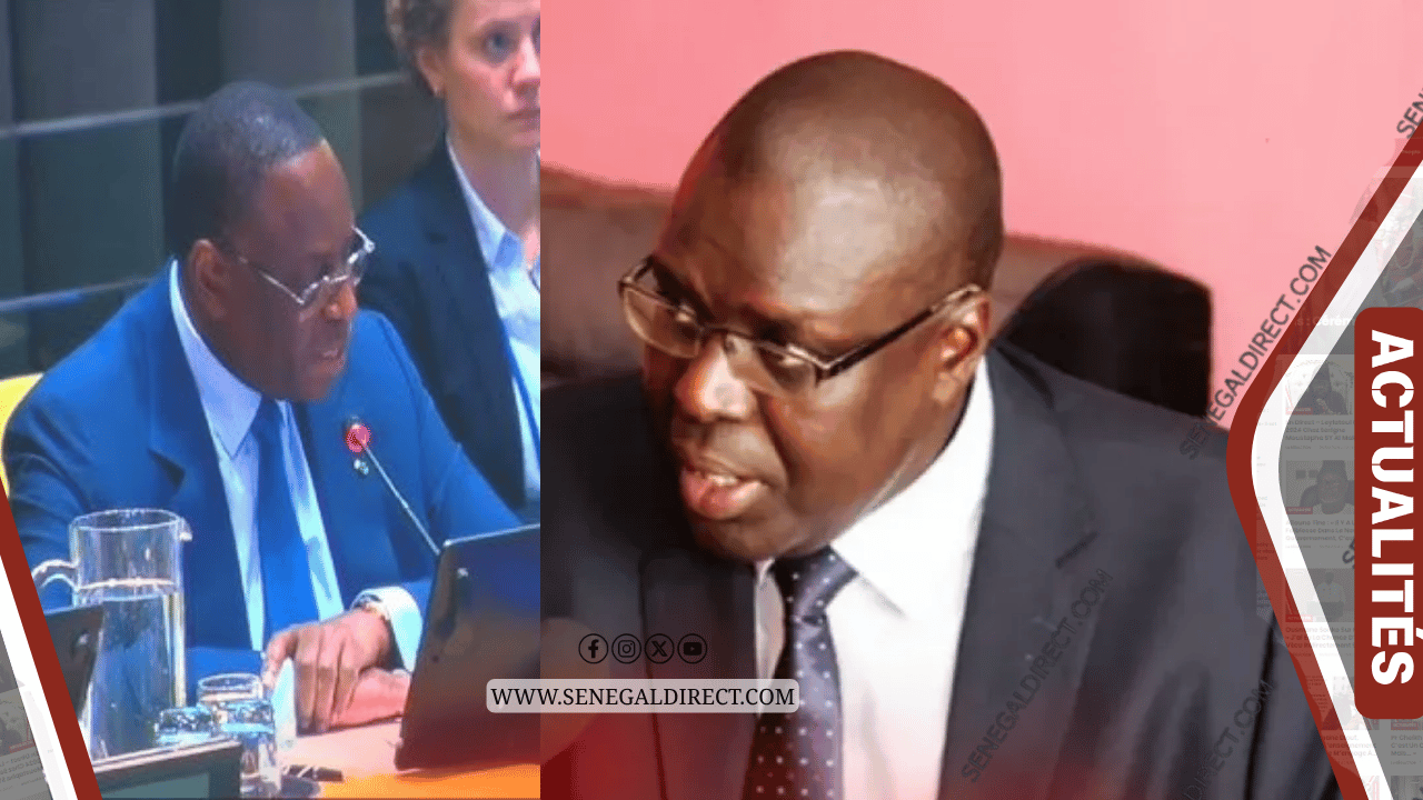 Victimes des violences de 2021-2024 : l’ONG HSF réclame vérité et justice dans le cadre du retour de Macky Sall