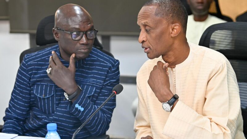 Abdoulaye Saydou Sow (FSF) dévoile l’intervention de Bassirou Diomaye Faye sur le contrat de Pape Thiaw