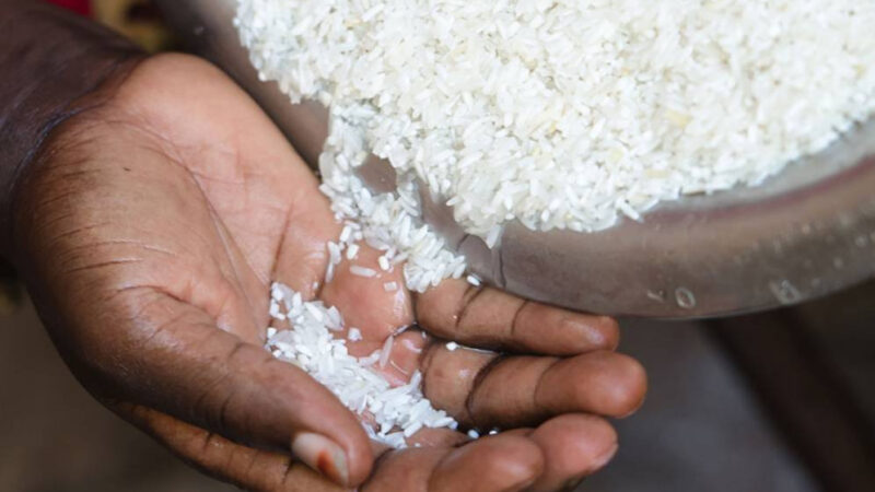 Babacar Beye (ITA) dément : le riz contaminé à l&rsquo;aflatoxine est importé de Thaïlande