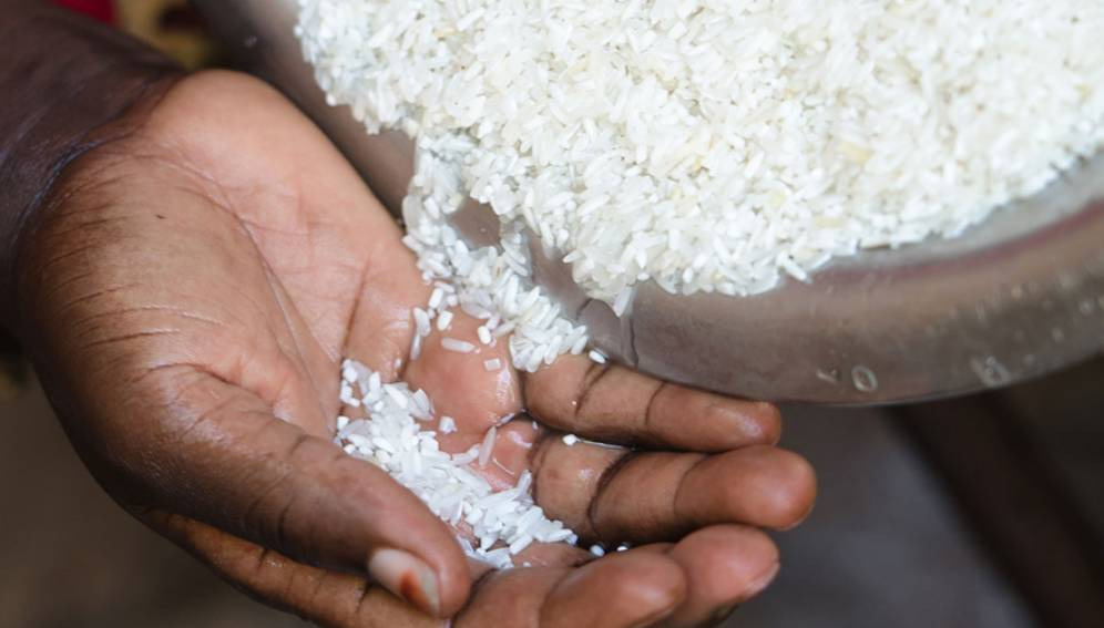 Babacar Beye (ITA) dément : le riz contaminé à l’aflatoxine est importé de Thaïlande