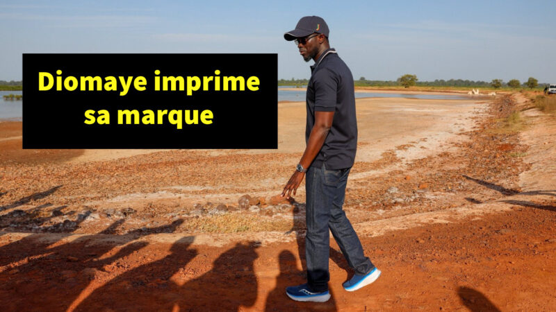 Diomaye Faye : le pari risqué d’un parti présidentiel sans l’appareil de Pastef