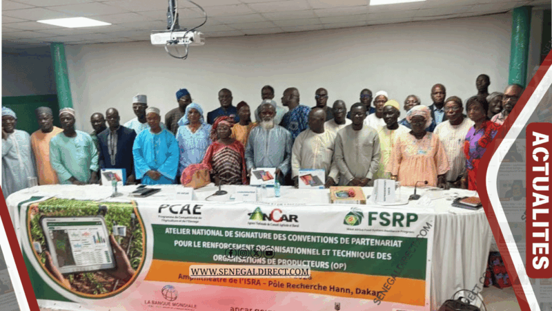 L’ANCAR remet du matériel informatique aux producteurs pour accélérer la digitalisation agricole