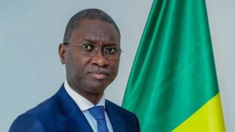 Procès d&rsquo;Ismaïla Madior Fall renvoyé au 28 juillet : la défense fustige des textes « désuets »