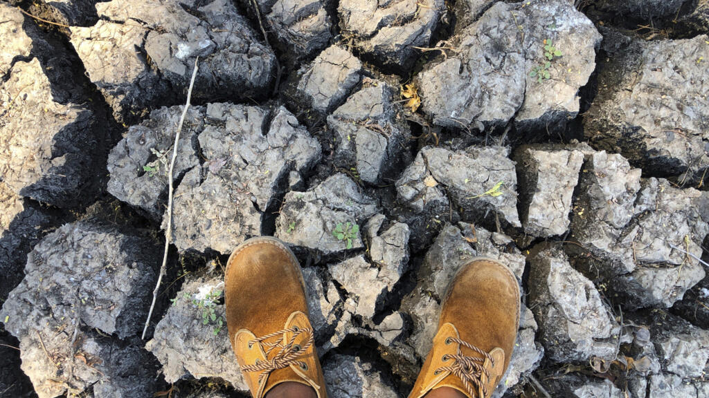 La BAD évalue l&rsquo;impact d&rsquo;El Niño sur l&rsquo;Afrique entre 10 et 20 milliards de dollars