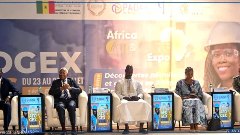 Ibrahima Sène : le contenu local, « moteur de souveraineté économique » du Sénégal