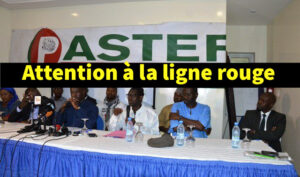 Pastef : l’agressivité en ligne des militants aggrave le risque d’usure précoce