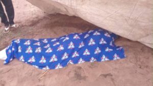 Nioro : Diouma Bâ, 19 ans, foudroyé dans son champ avec son cheval