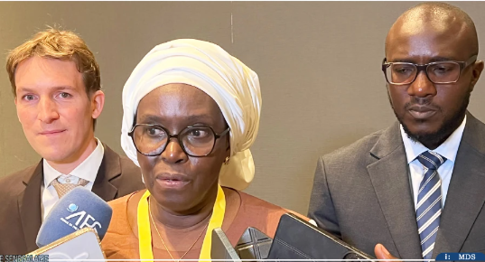 Le Sénégal lance l&rsquo;élaboration de sa stratégie nationale sur les minéraux critiques